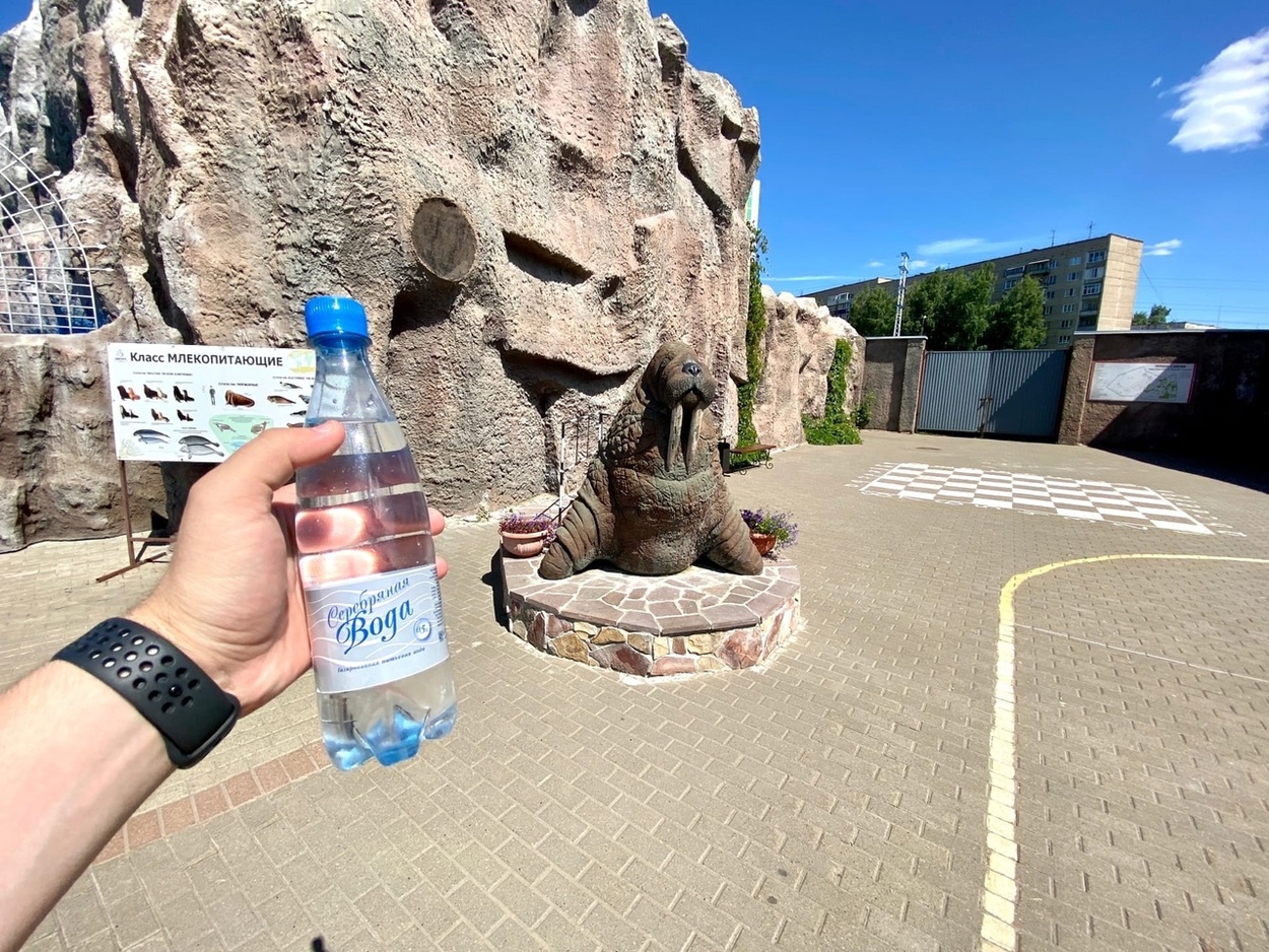 Прогулка по зоопарку в Ижевске с Серебряной водой! Сюжет клиента нашей компании Артура С.