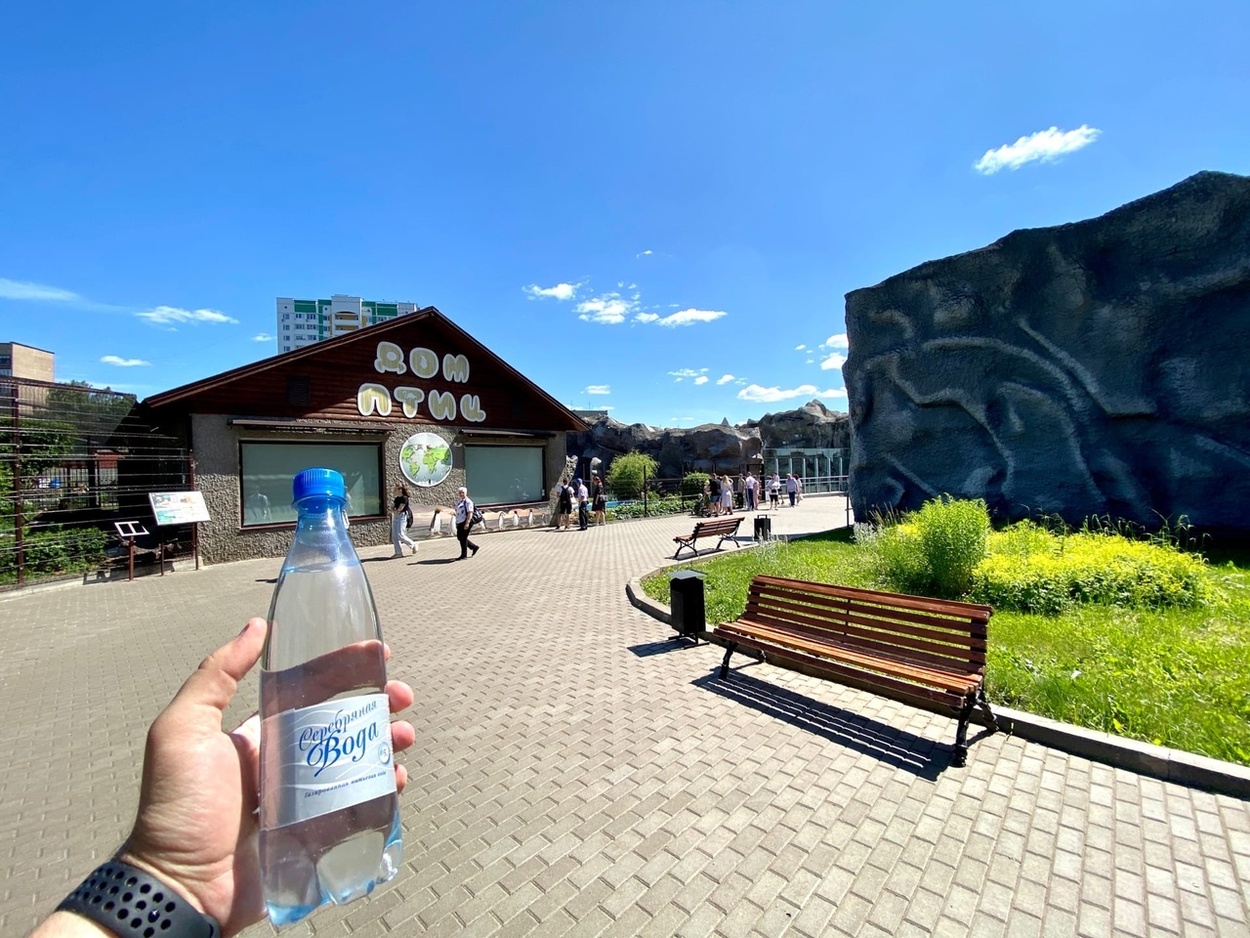 Прогулка по зоопарку в Ижевске с Серебряной водой! Сюжет клиента нашей компании Артура С.