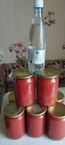 Готовим томатный кетчуп с Серебряной водой! Сюжет клиента нашей компании  Светланы Р.