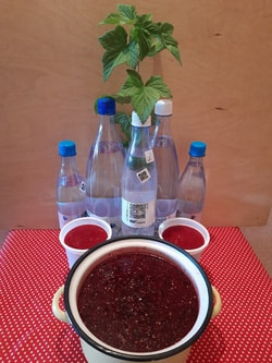 Заготовка ягод  с Серебряной водой! Сюжет клиента нашей компании  Нафисы Н.