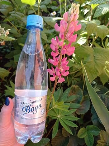Прекрасные цветы и Серебряная вода! Сюжет клиента нашей компании Минзили х.