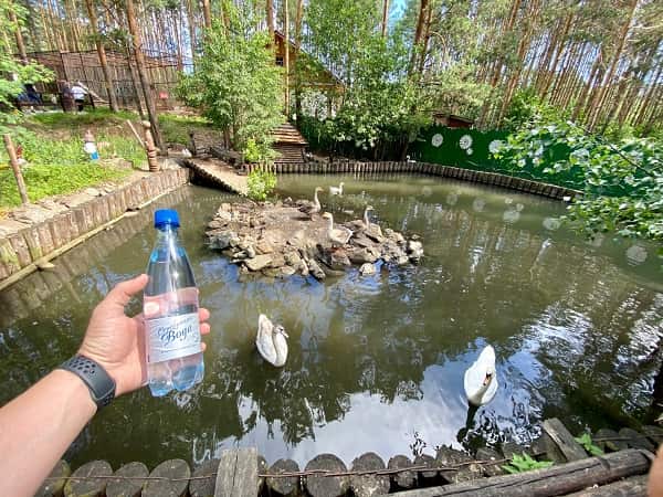В зоопарке «Абзаково» с Серебряной водой. Сюжет клиента нашей компании Артура С.
