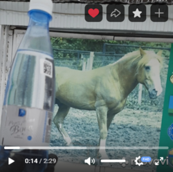 Экскурсия на конный двор  у Садко с Серебряной водой! Сюжет клиента нашей компании Раи Ц.