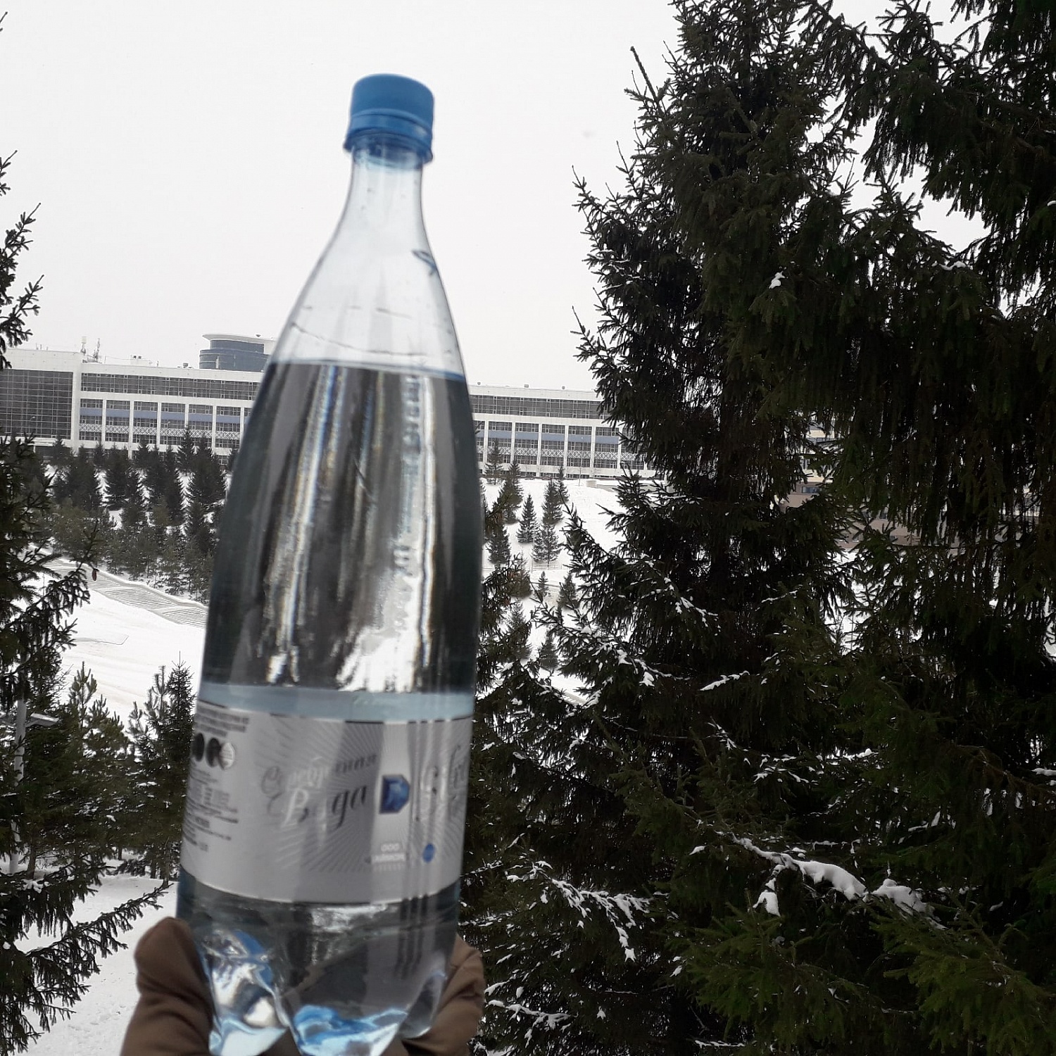 Серебряная вода Даймонд на прогулке в парке Ватан. Сюжет клиента нашей компании Минзили Х.