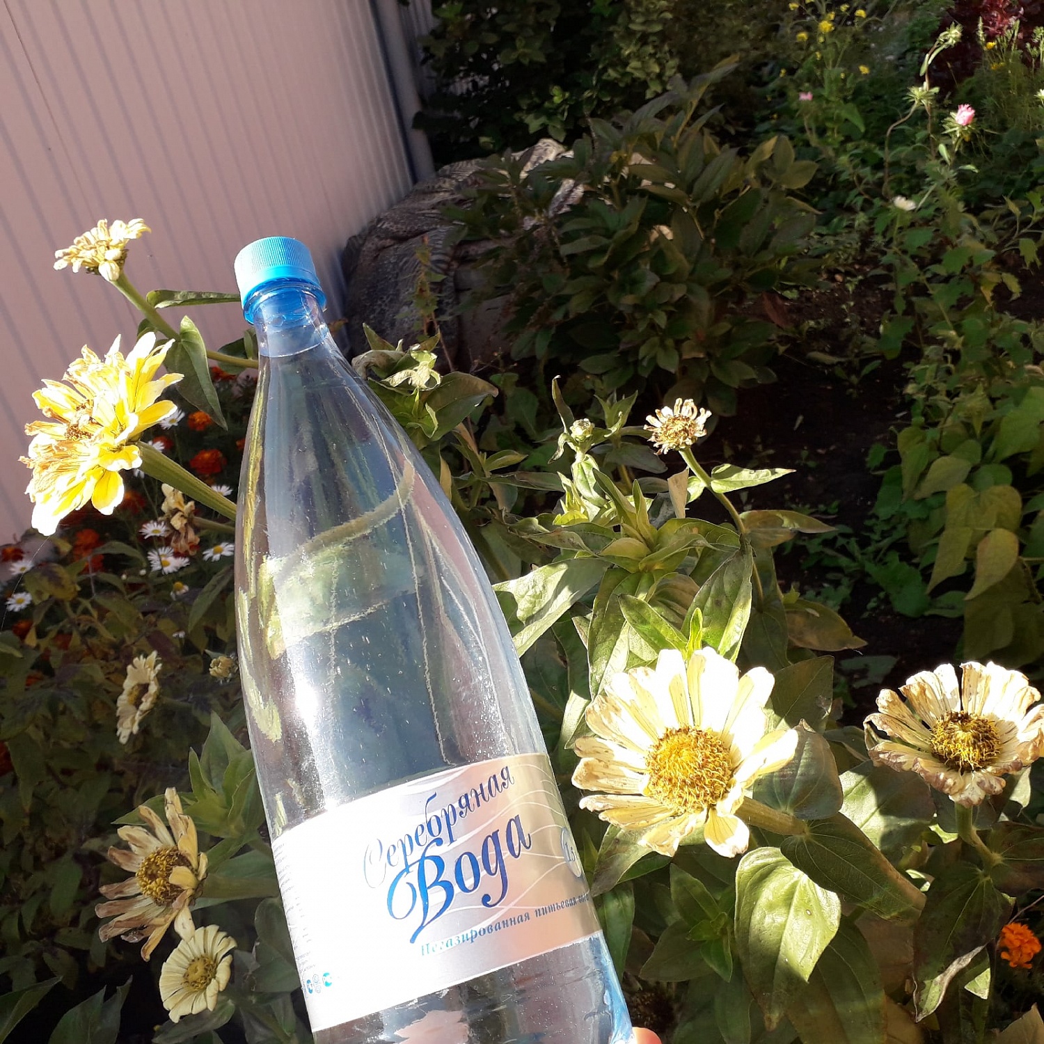В огороде мой несменный спутник - Серебряная вода Даймонд. Сюжет от клиента.